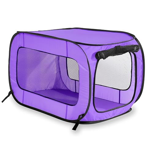 Beatrice Home Fashions Pop Up - Perrera portátil para Mascotas, Color Morado (SOLPPK00PUR)