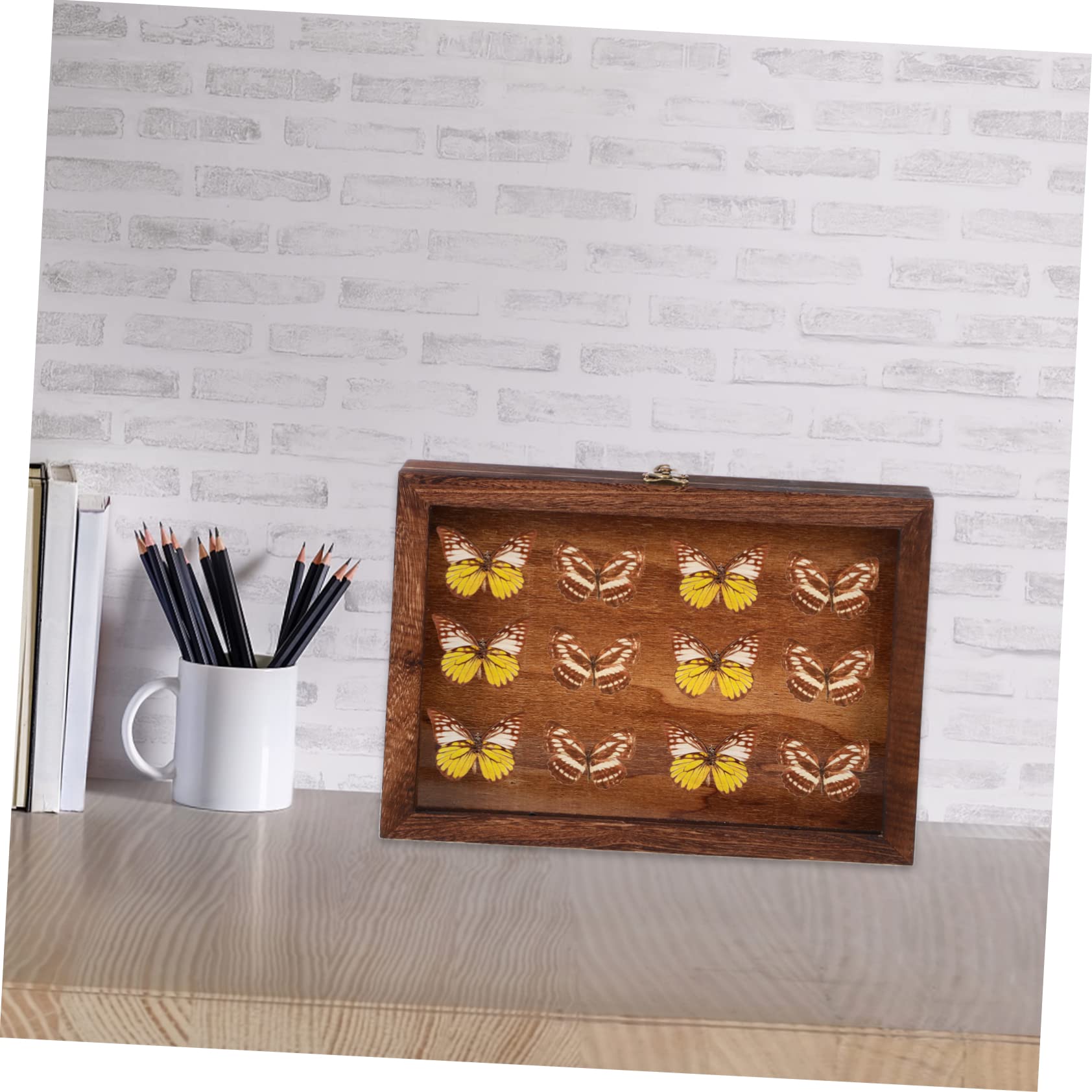VERDANVERSE 1Pc Wooden Specimen Display Case with Lid Transparent Flower Holder Chic Home Table Decor for Collectibles Capacity Butterfly Specimen Box Durable and Safe Design