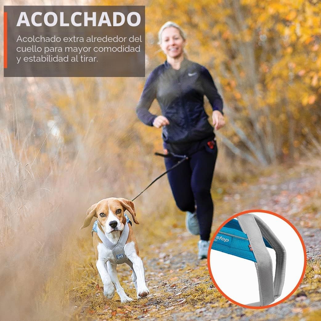 Non-stop dogwear Freemotion Arnés 5.0 | Arnés para Perros para Todos los Deportes, Talla: 3