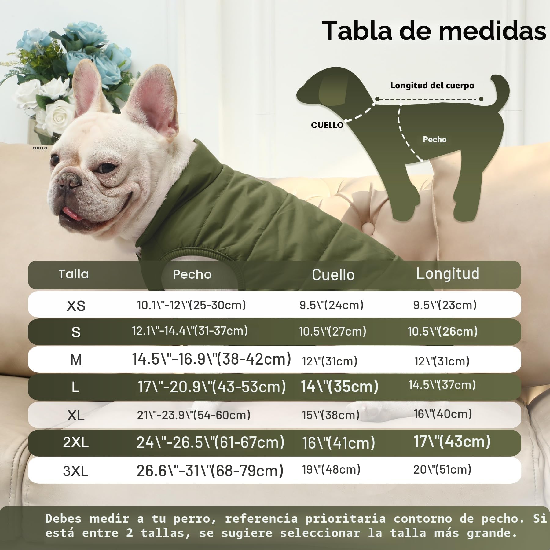 JoyDaog - Chaqueta de perro con forro polar de 2 capas para invierno y clima frío, extra suave, a prueba de viento, para cachorro y perros pequeños, verde, XS
