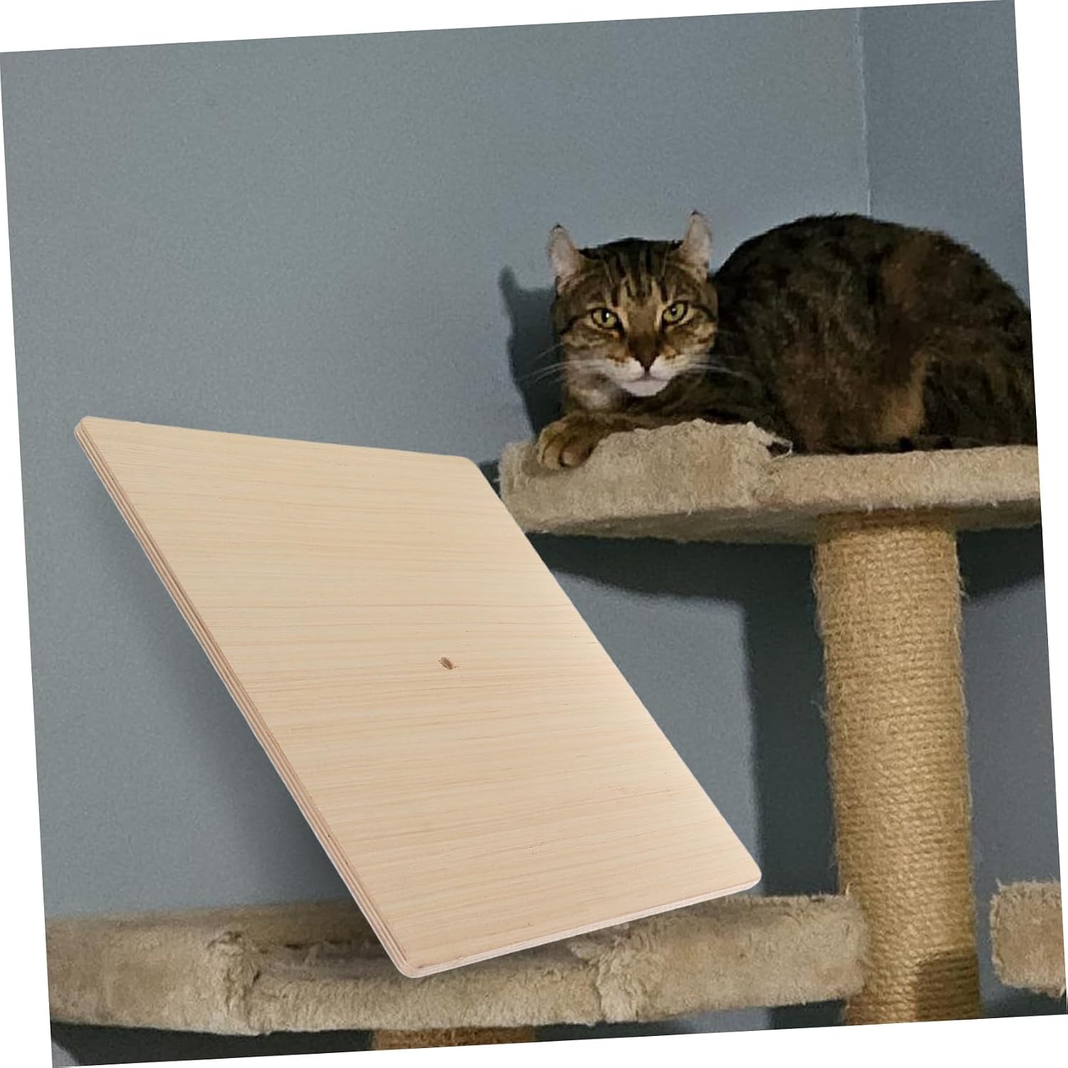 Cat Climbing Frame Accessory DIY Platform Cat Steps Perch Wall Furniture Replacement Shelf Sturdy