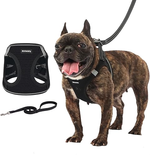 Rttochfy Juego de arnés y correa para perro, con chaleco acolchado sin tirones y sin estrangulamiento, arnés ajustable y reflectante para cachorro Rttochfy Juego de arnés y correa para perro, con chaleco acolchado sin tirones y sin estrangulamiento, arnés ajustable y reflectante para cachorro