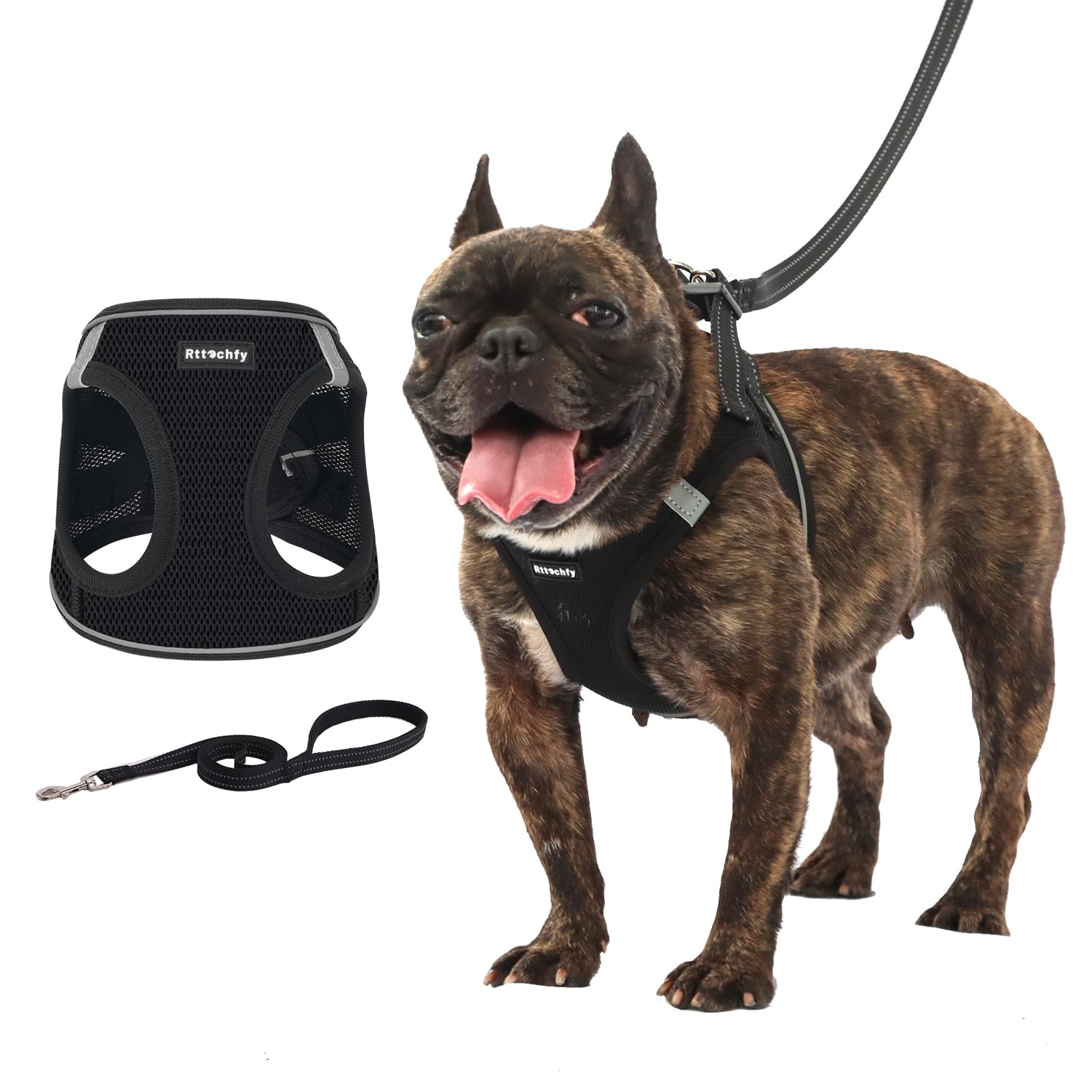 Retractable Dog Leash Puppy Harness And Leash Set Dog Vest