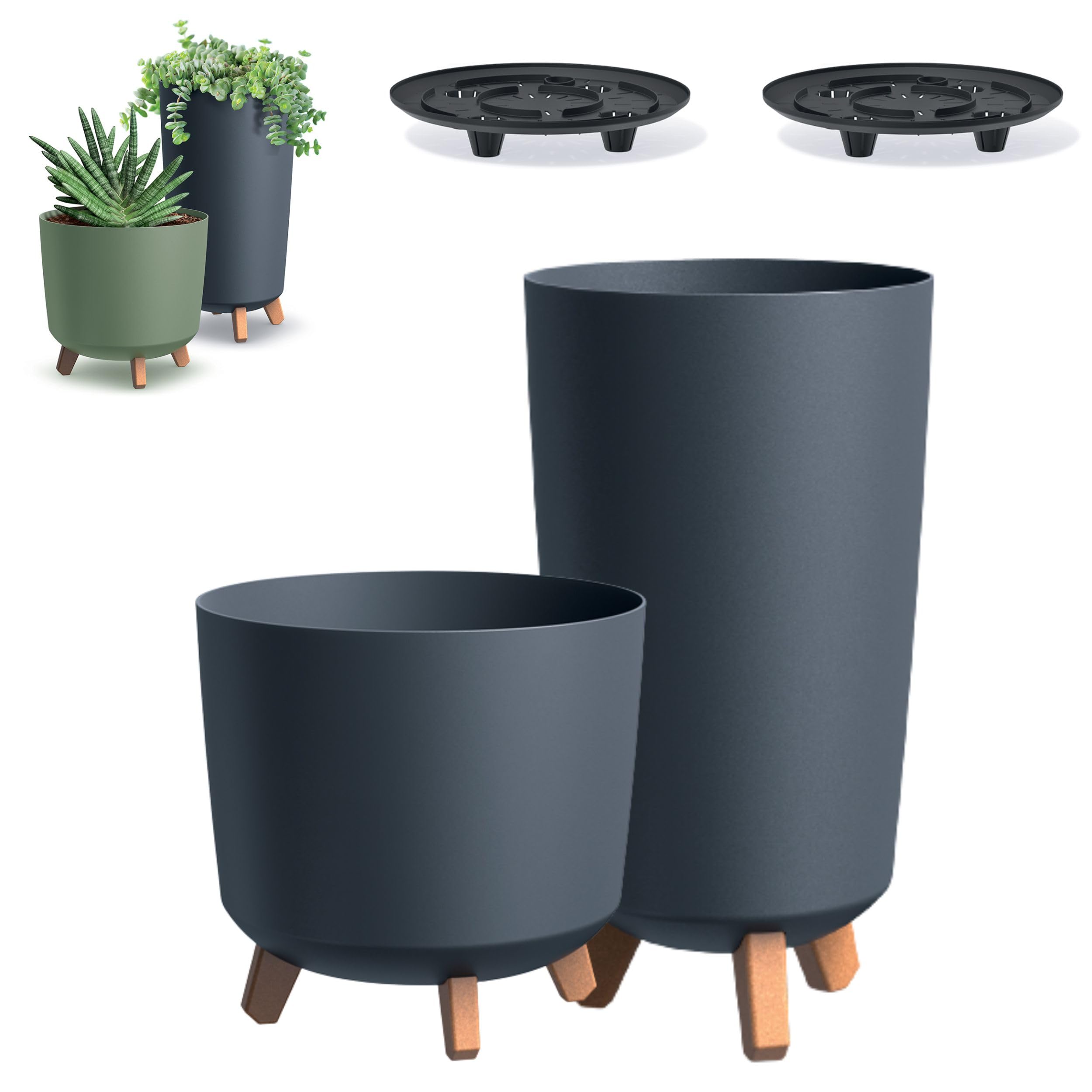 mediterrane pflanzen für blumenkasten Balkonblumen 