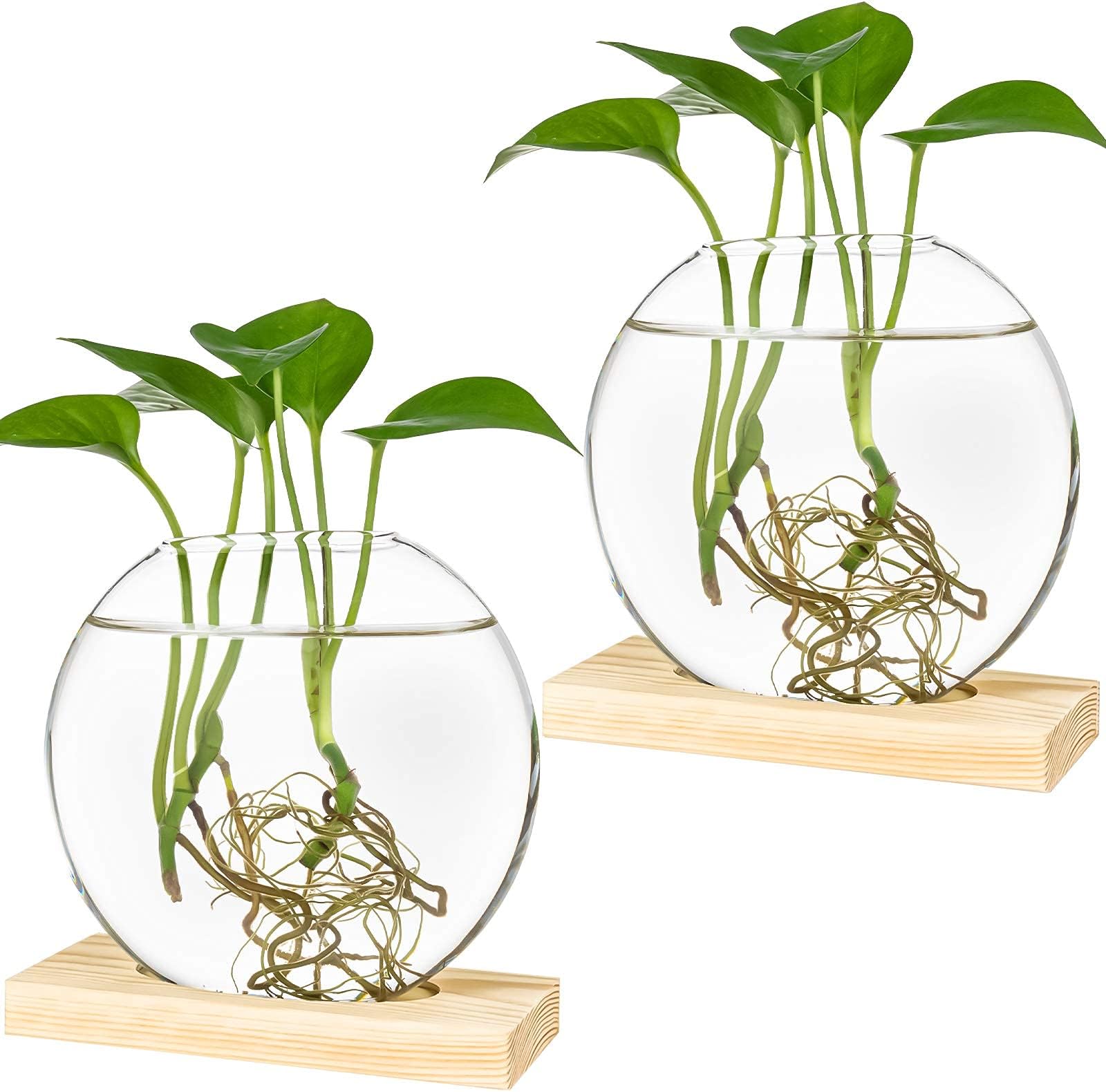 KingbuyRound Glass Planter with Wooden Stand (Pack of 2, Beige)