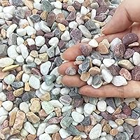 FANTIAN 2 lbs 3/8 Inch Natural Mixed Color Pea Gravel Pebbles for Succulents, Indoor Plants, Vases, Aquariums & Outdoor Decor