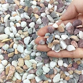 FANTIAN 2 lbs 3/8 Inch Natural Mixed Color Pea Gravel Pebbles for Succulents, Indoor Plants, Vases, Aquariums & Outdoor Decor