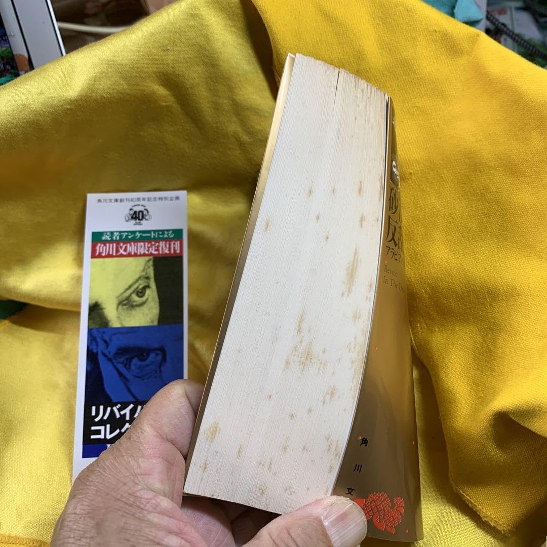 Amazon.co.jp: 砂漠の反乱 アラビアのロレンス自伝 柏倉俊三 訳 角川