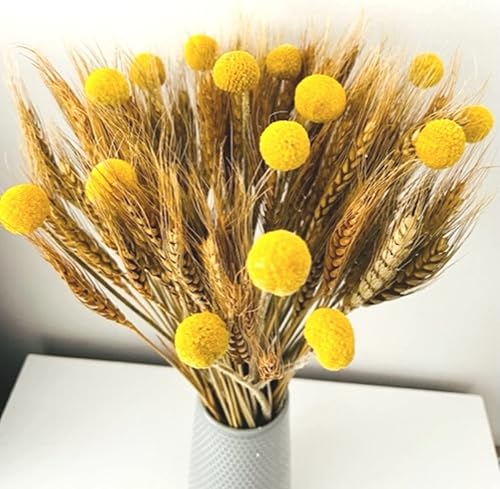 Miniatura 7 de 100 piezas de decoración de hierba de trigo seco y 15 tallos de bolas amarillas, ramo de flores secas, paquetes de tallos de trigo para decoración,