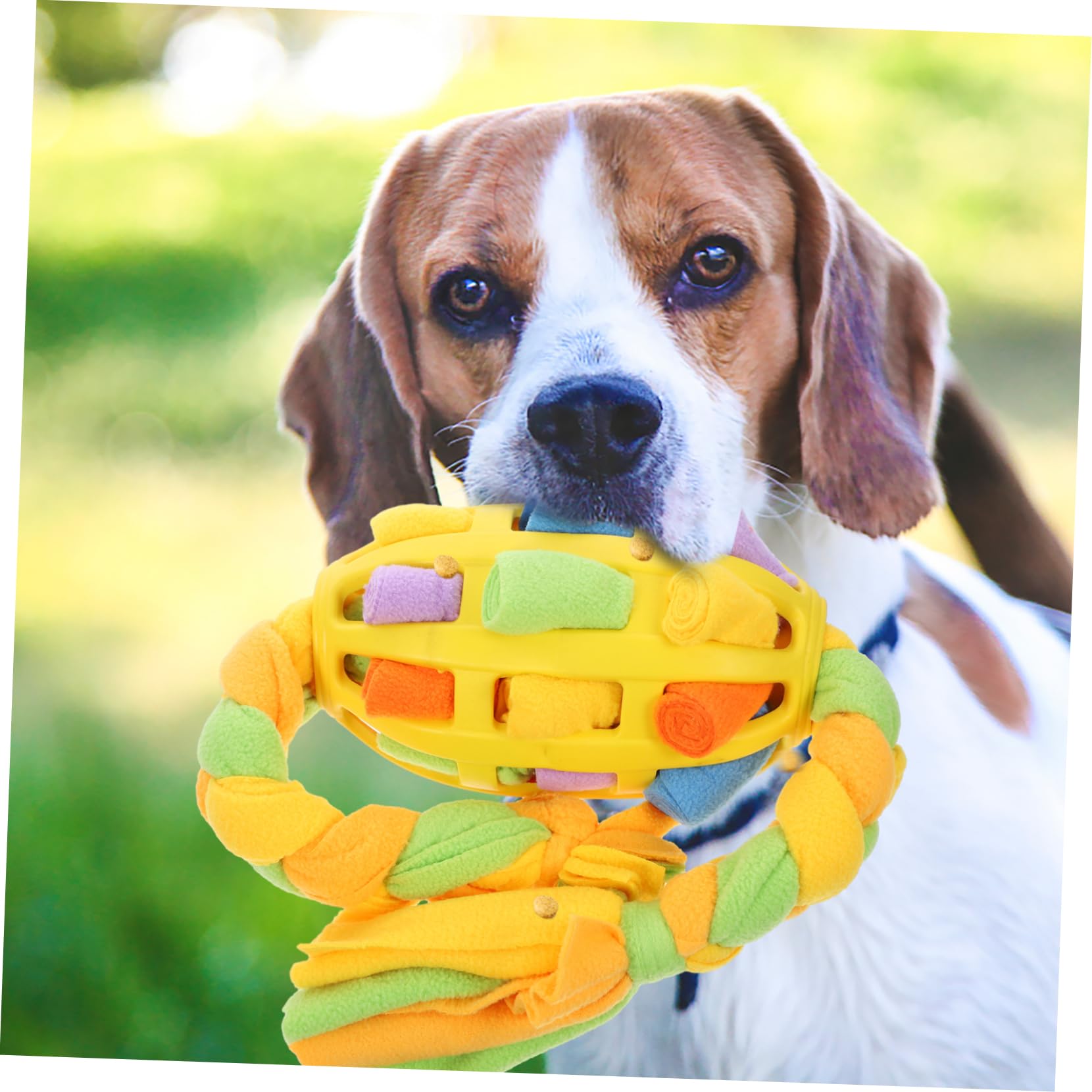 BESPORTBLE 4pezzi Palla Interattiva Per Cani Con Dispenser Di Cibo e Gioco Stimolante Perfetta Per La Noia e Promuovere Una Corretta Digestione