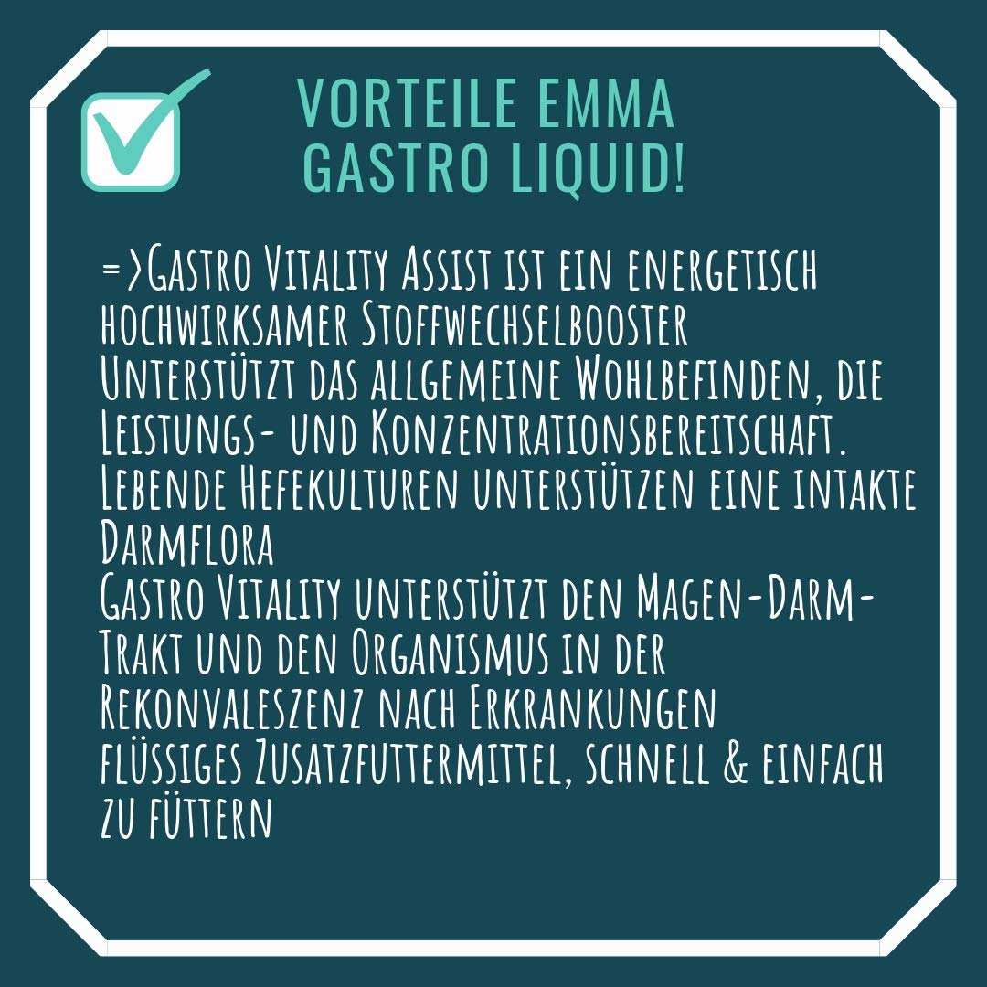 Gastrointestinal Caballo I Probióticos I Levadura de Cerveza I Cultivos de Levadura Darsanación de la Flora Intestinal Complejo vitamínico B C E Biotina Selenio Zinc Refuerzo del Metabolismo 30ml 1L