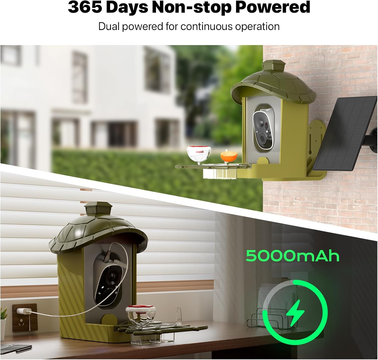 Smart Bird Feeder with Camera, Bird Feeder Camera 2K HD Record Video Live View with Solar Panel, AI Identify Species Auto Capture, Instant Arrival Alerts, Gift for Birds Lover - Image 8