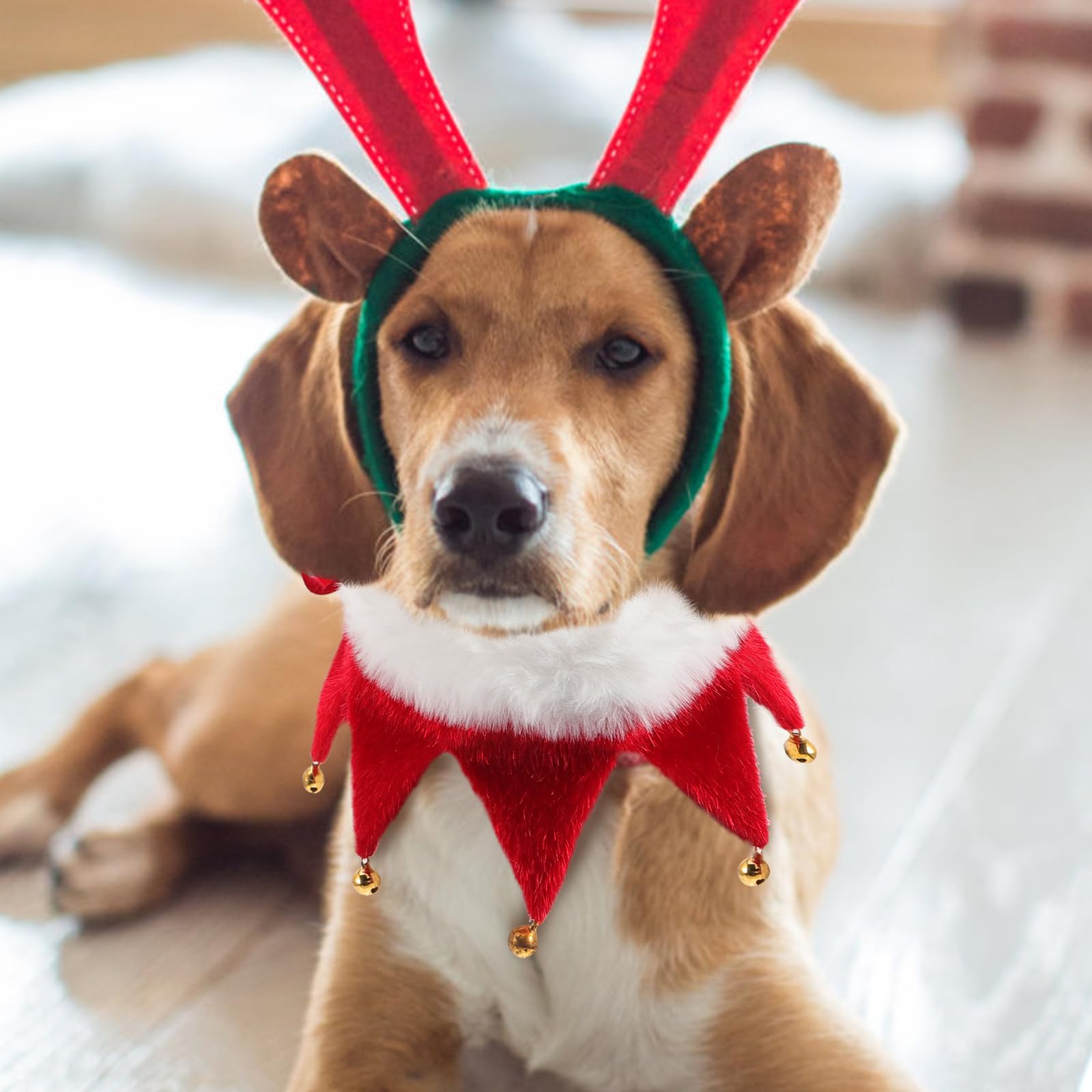 Christmas Pet Collar Adjustable Dog Collars with Jingle Bell Christmas Costume Accessories for Small Dog Cat Puppy Kitten Size XL - Image 3
