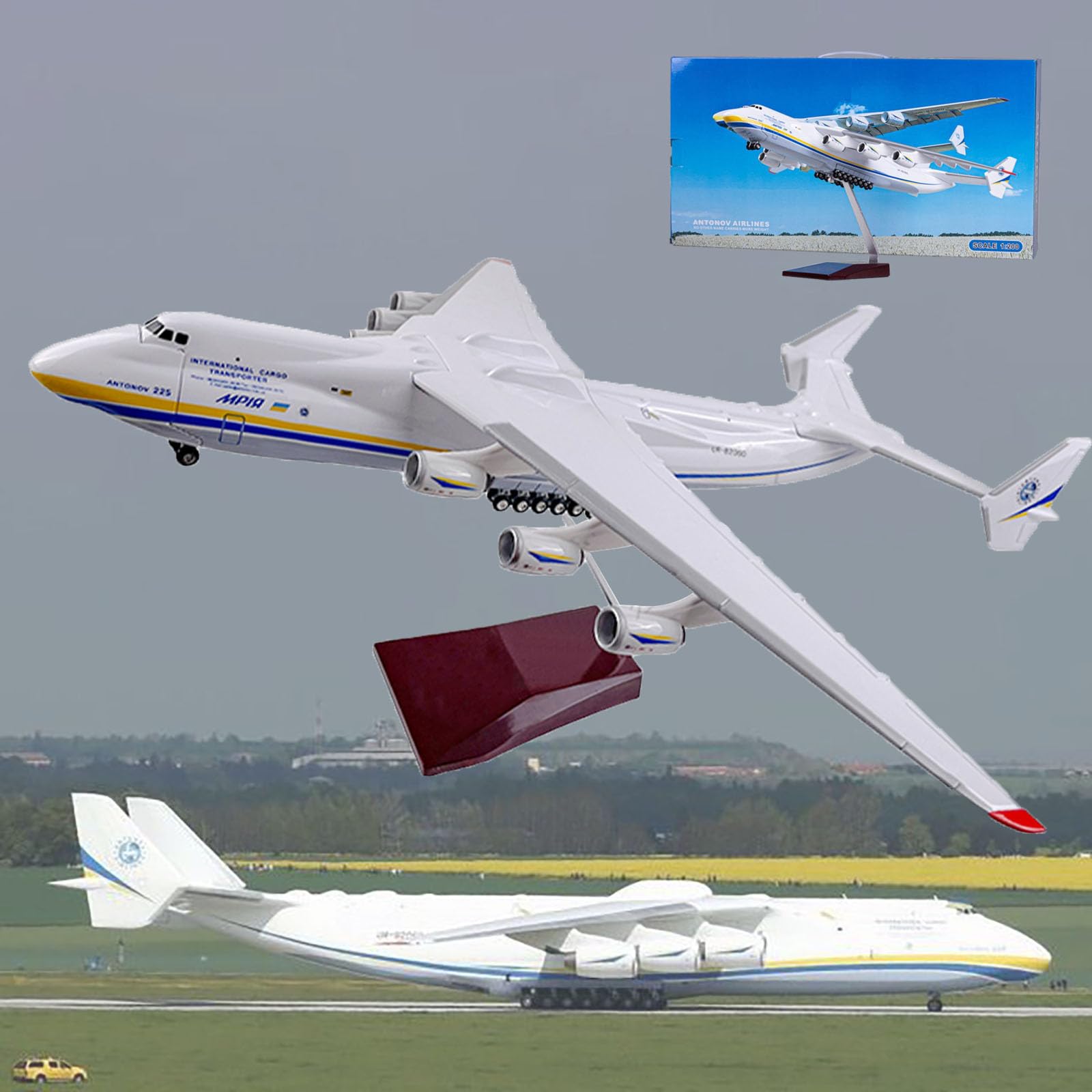 Amazon | AZIZAT 16.5インチ 1:200スケール アントノフ AN-225 モデル