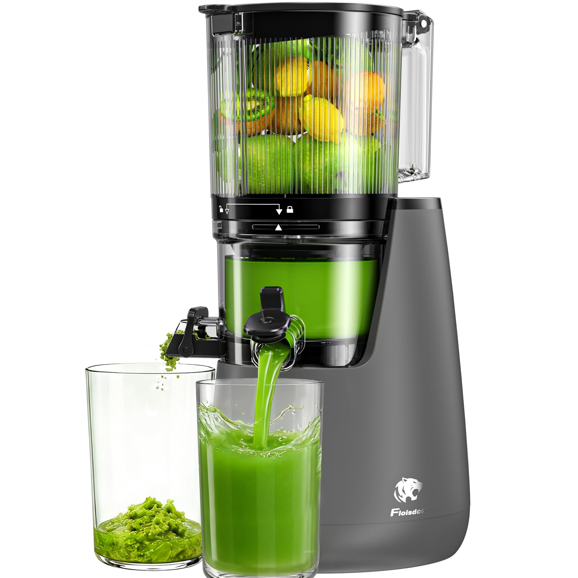 Cold Press Juicer 6 Extra Large Feed Chute Slow Masticating Juicer Machines Powerful AC Brushless Motor Self Precut