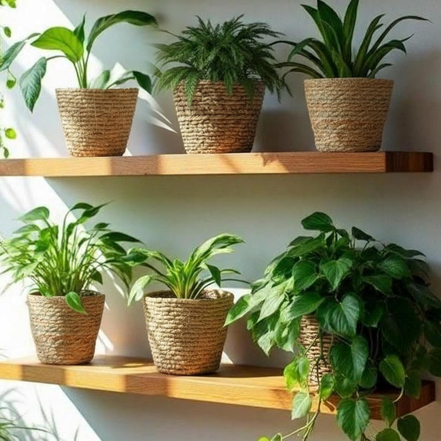 AceOrbit 12 Pcs Wicker Plant Basket with Plastic Liners Woven Stylish Planter Baskets Bulk Indoor Outdoor Seagrass Plants Woven Wicker Baskets for Flower Pots Cover and Room Decor (Small,Rustic)