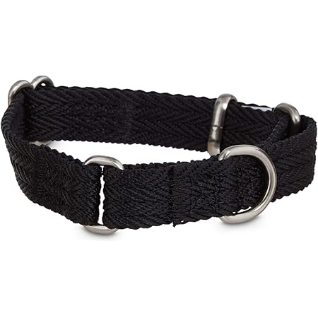 good2go martingale collar