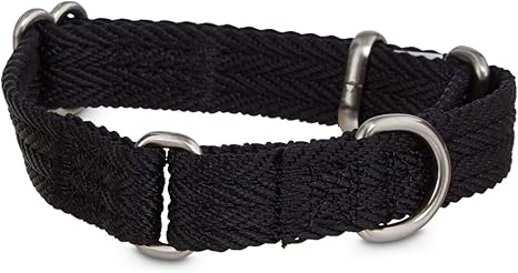 good2go martingale collar