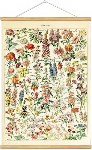 Marco para colgar pósteres de flores vintage, tabla de referencia floral de plantas, decoración de pared, decoración de habitación, estética,