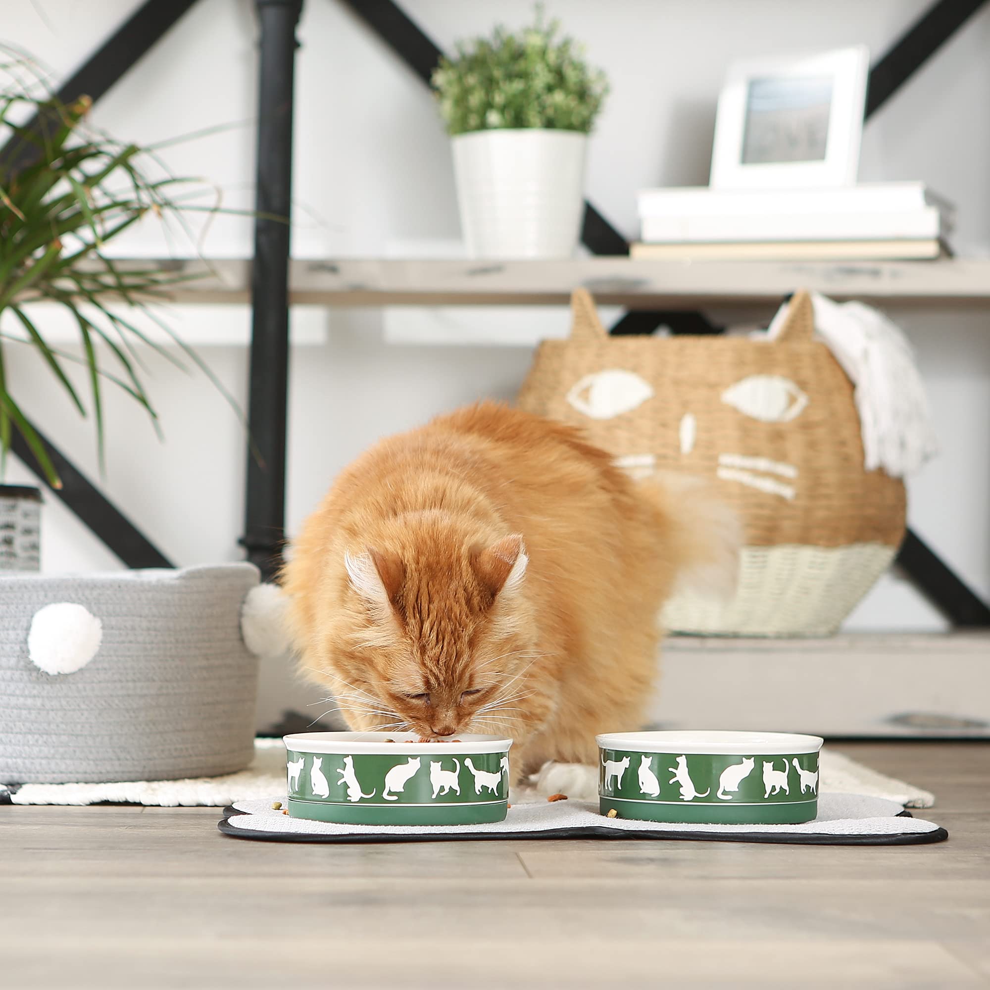 Bone Dry Ceramic Pet Silhouette Collection, set medio, 6x2, verde cacciatore, 2 pezzi