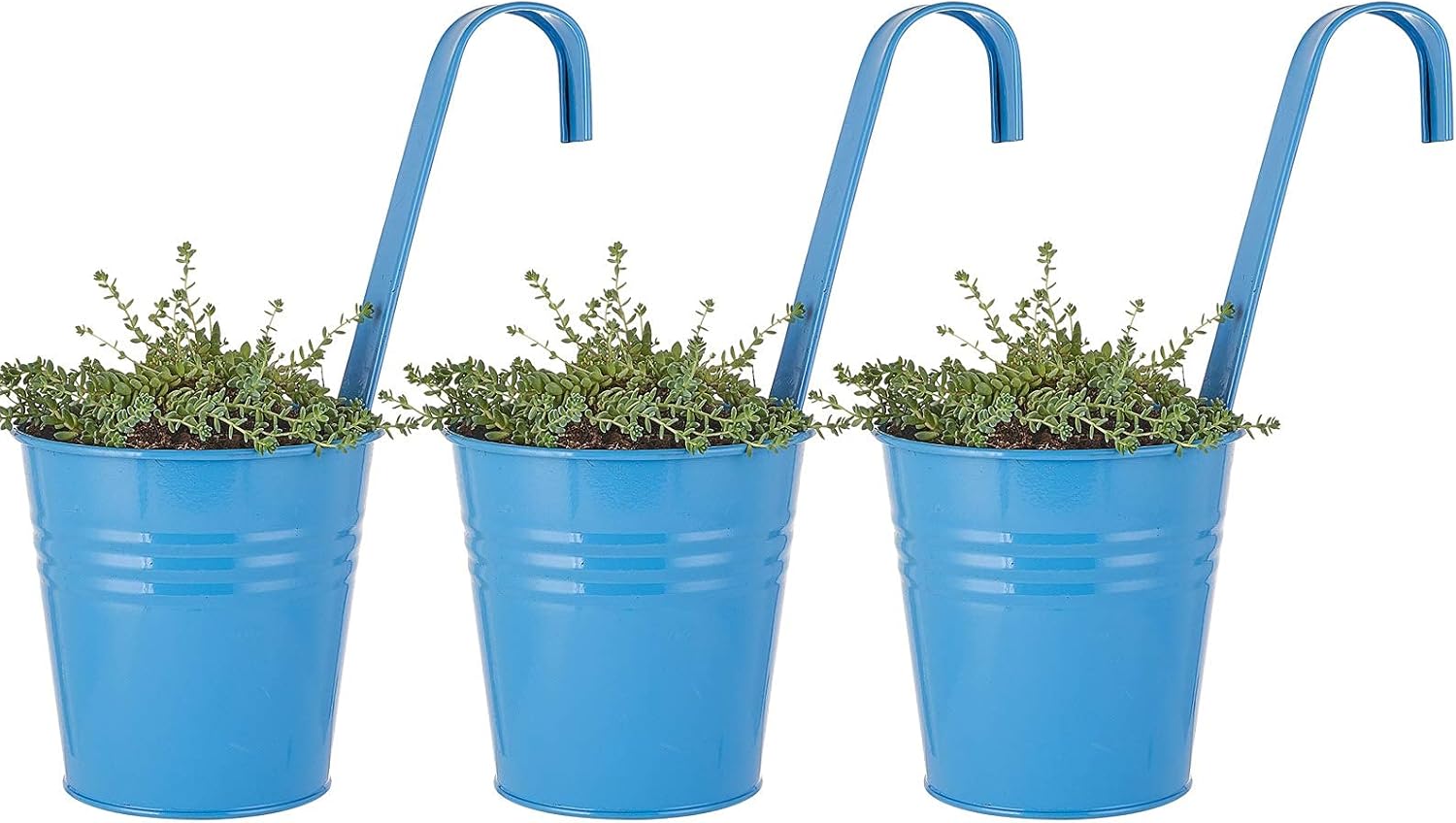 3Pcs Large Wall Galvanized Metal Iron Hanging Planter Buckets with Hook, Flower Pots Baskets/Holder,Farmhouse Wall Decor,Suitable for Railing,Fence,Window,Patio,Clay Garden, Indoor/Outdoor (Blue)