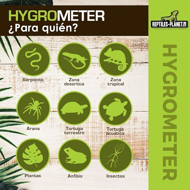 Foto 3 de 6 de Reptiles Planet higrómetro Digital para terrarios Reptiles