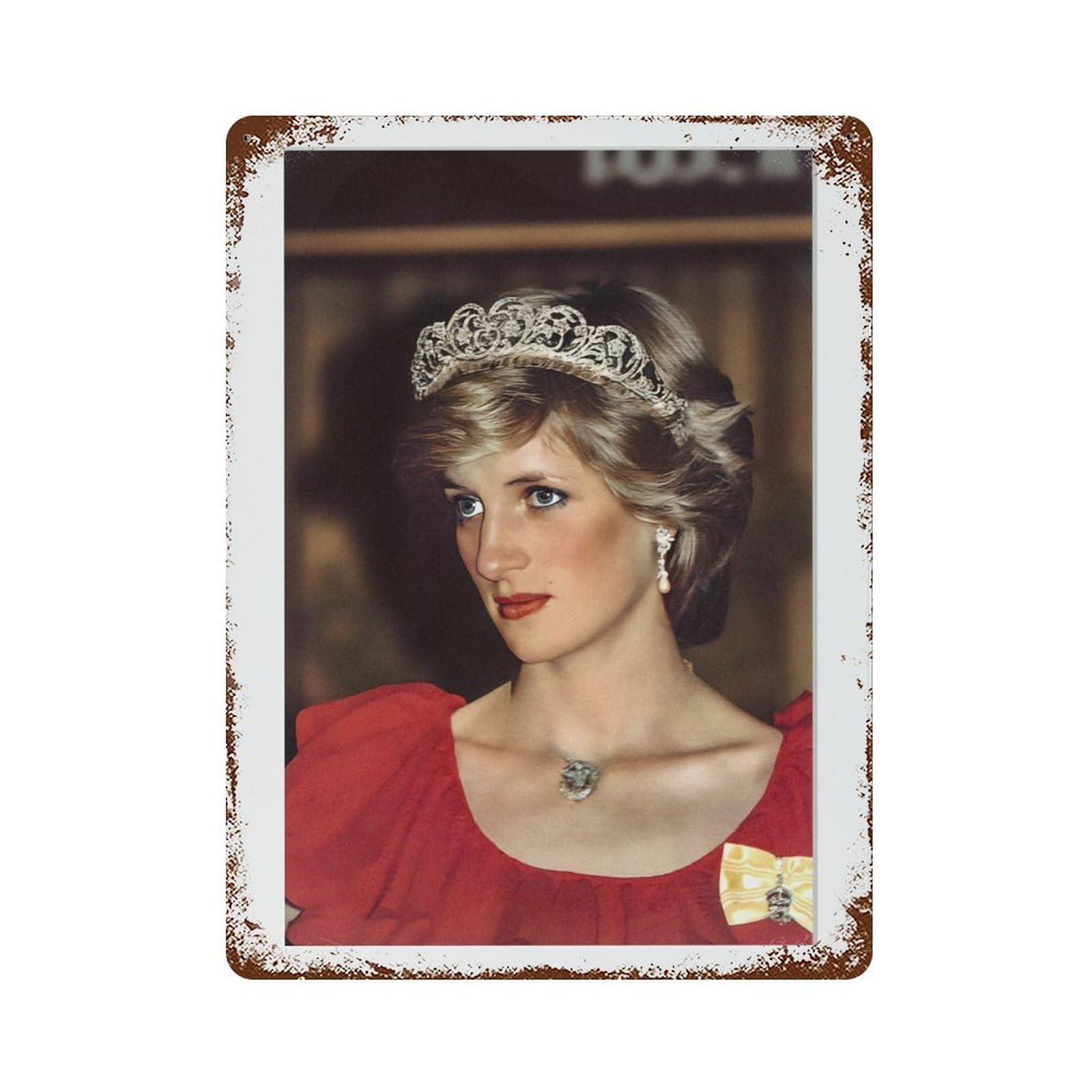 xiaoxiaoshen Princess Diana Photography S1 Wall Decor Art Metal Tin Poster Modern Home Decor Art Home Bar Shop Decorations Vintage Sign 40x30cm