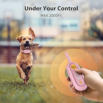 Amazon.com : PATPET Dog Shock Collar for Medium Dogs- Dog