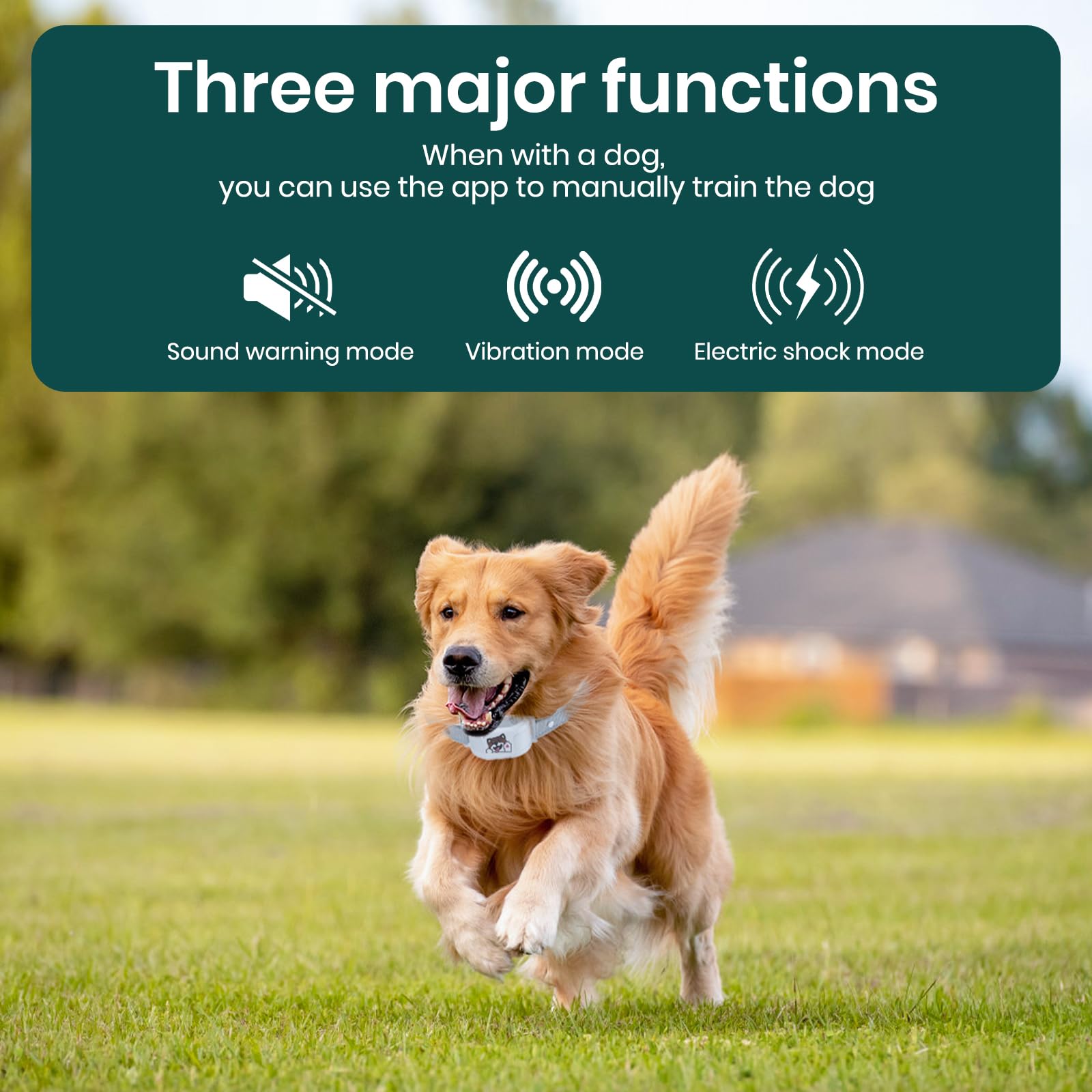 GPS Wireless Dog Fence with Free App, Electric Fence System with Training Collar, Portable Fence for Outdoor Use, Rechargeable Waterproof, Adjustable Pet Containment System for Outdoor Use - image 6