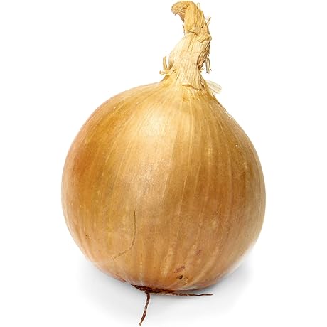 Organic Yellow Sweet Onions Fresh From The Farm