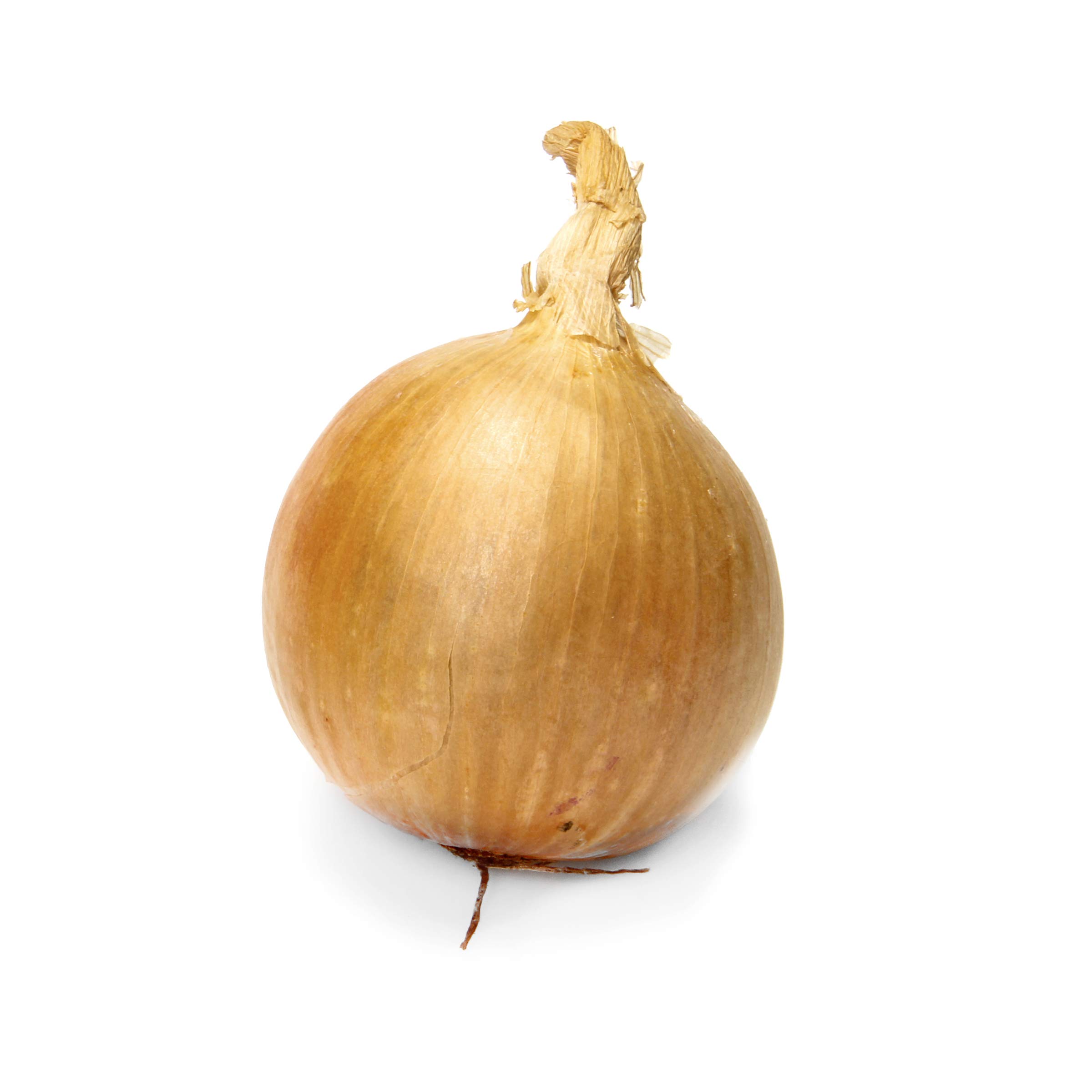 Organic Yellow Onion