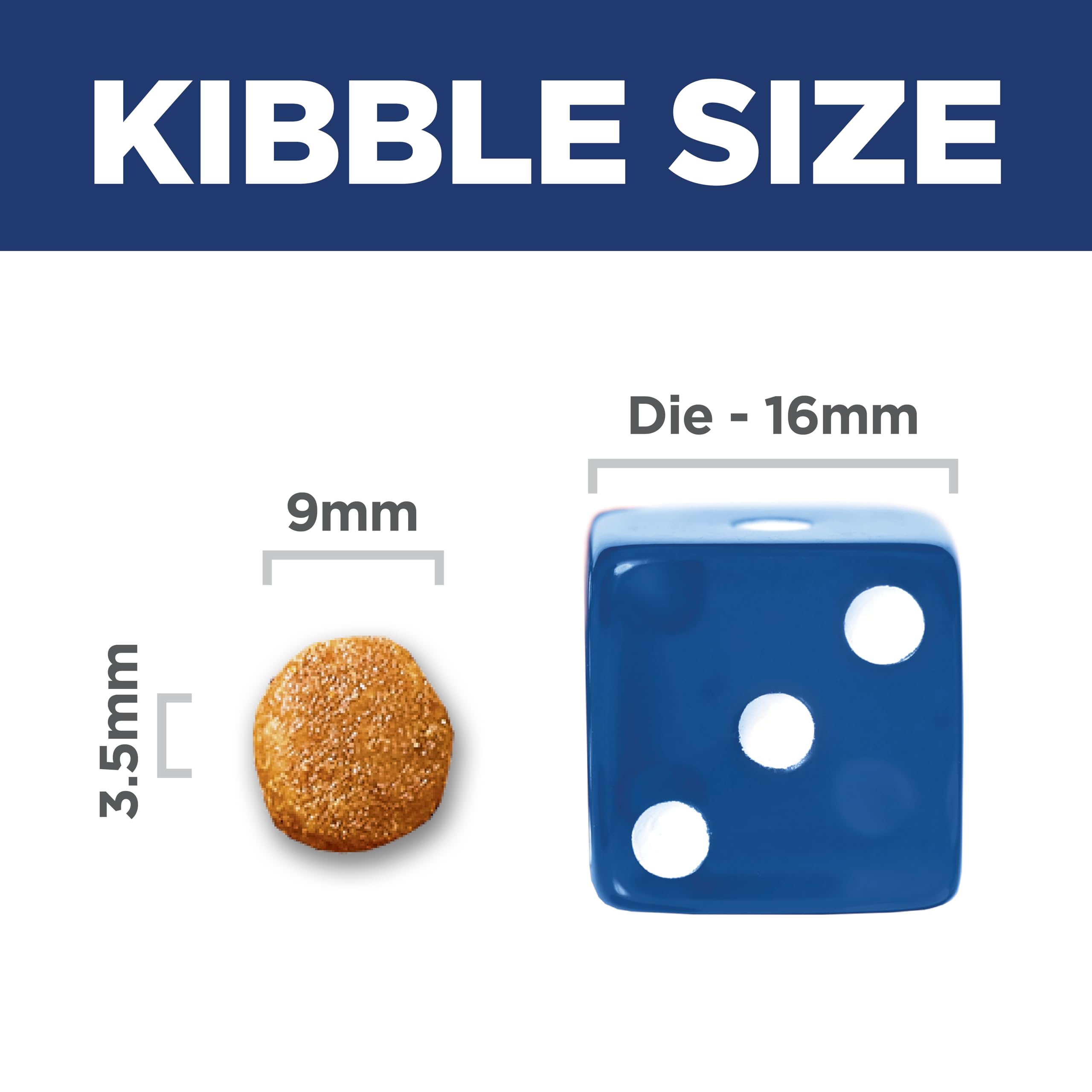 Hill's Science Diet Adult Sensitive Stomach & Skin Dry Cat Food, Chicken & Rice, 7 lb. Bag (Updated Formula): Salmon 13 Pound (Pack of 1)