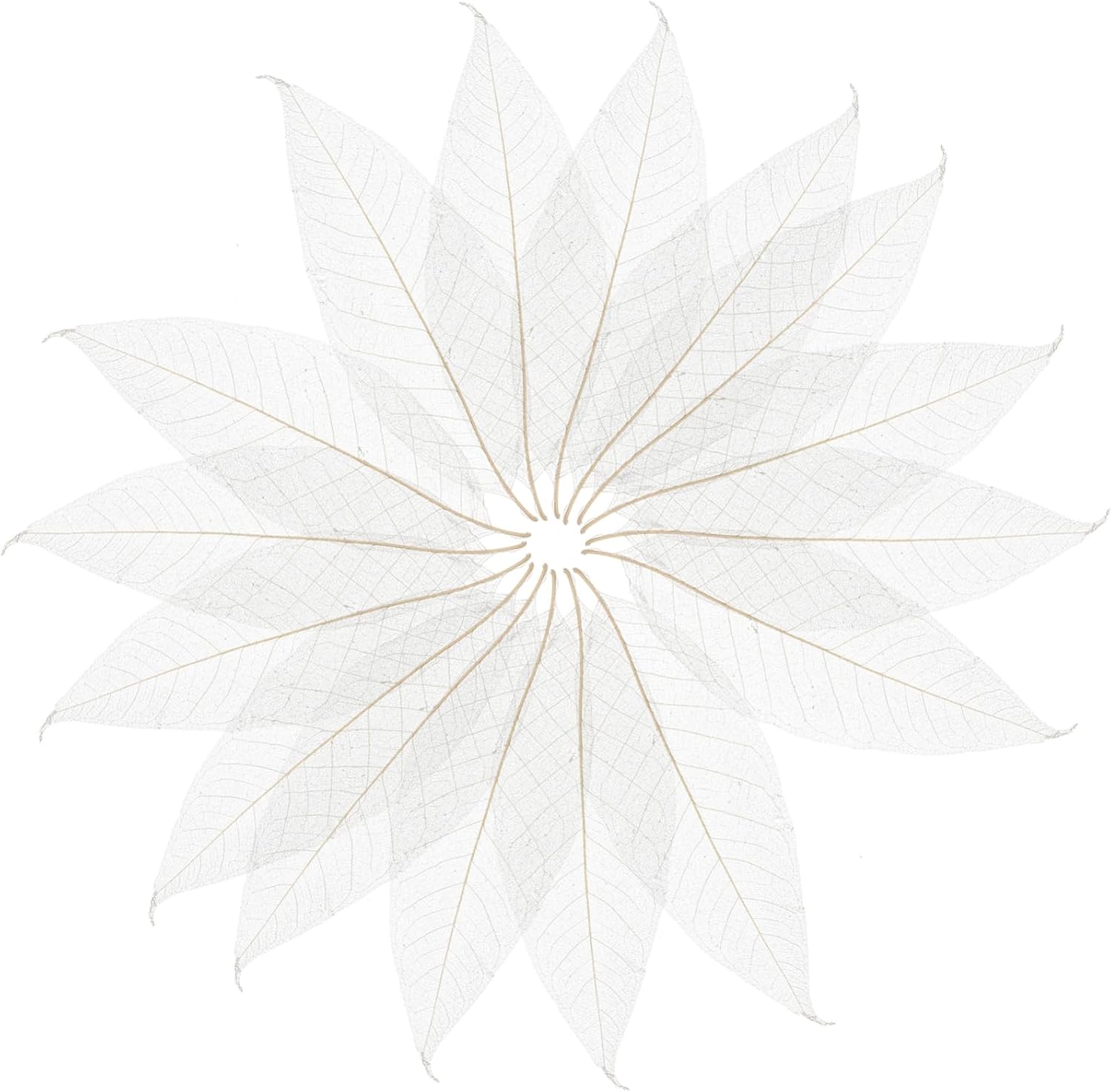 VALICLUD 100pcs Dried Leaf Veins Specimen Natural Skeleton Leaves for DIY Bookmarks Greeting Cards Scrapbooks Wedding Decorations and Craft Projects