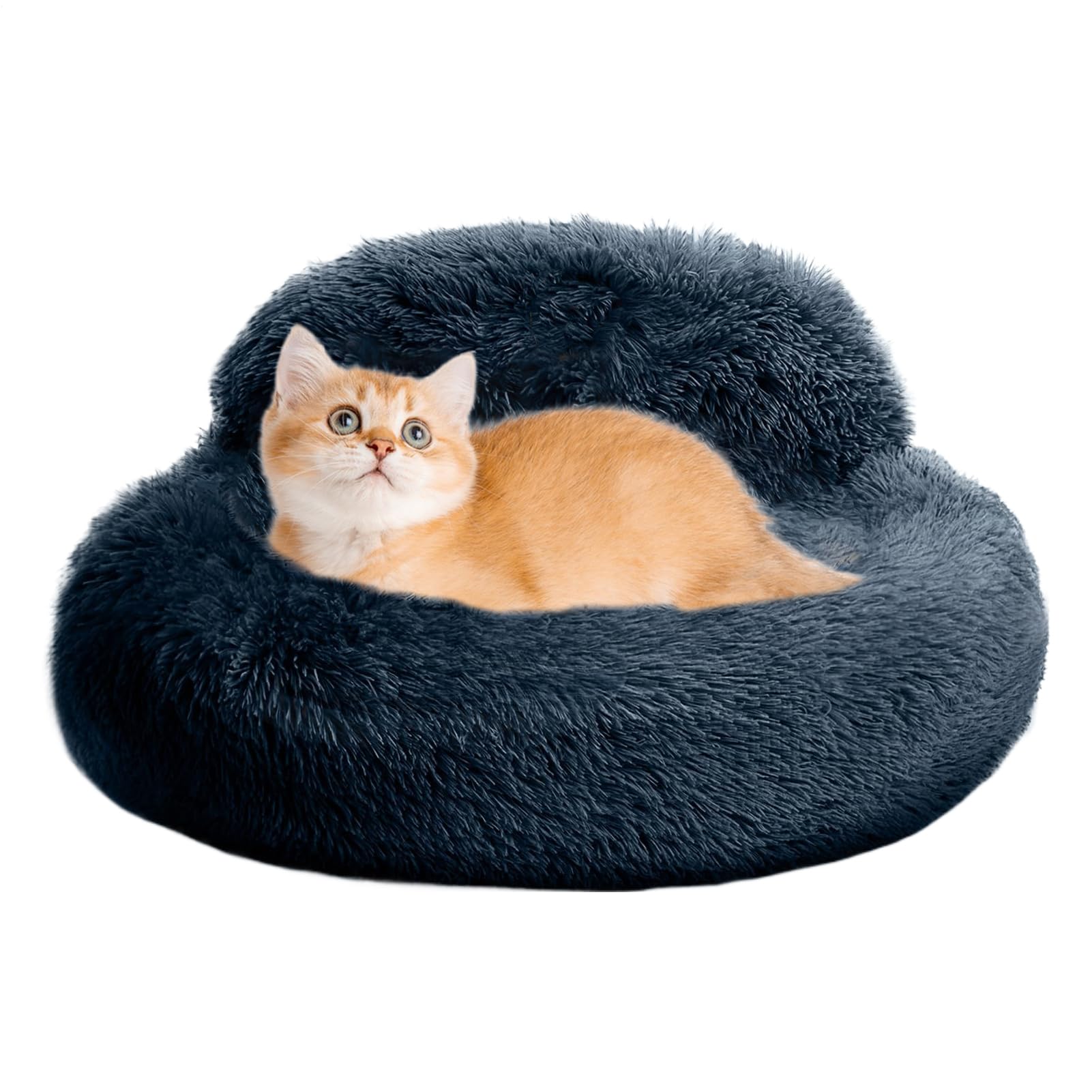 Lit donut pour chien : fini les nuits agitées sur le sol froid