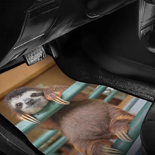 Miniatura 5 de Delerain Lindos tapetes 3D perezosos para automóvil, 4 piezas, parte delantera y trasera, de goma, para todo tipo de clima, ajuste universal,