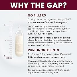 Saccharomyces Boulardii Probiotics 10 Billion CFU - Made in USA | No Fillers, Patented Strain: Lynside CNCM I-3799 Probiotics for Men and Women | Pure TheraPro Rx - 240 Capsules