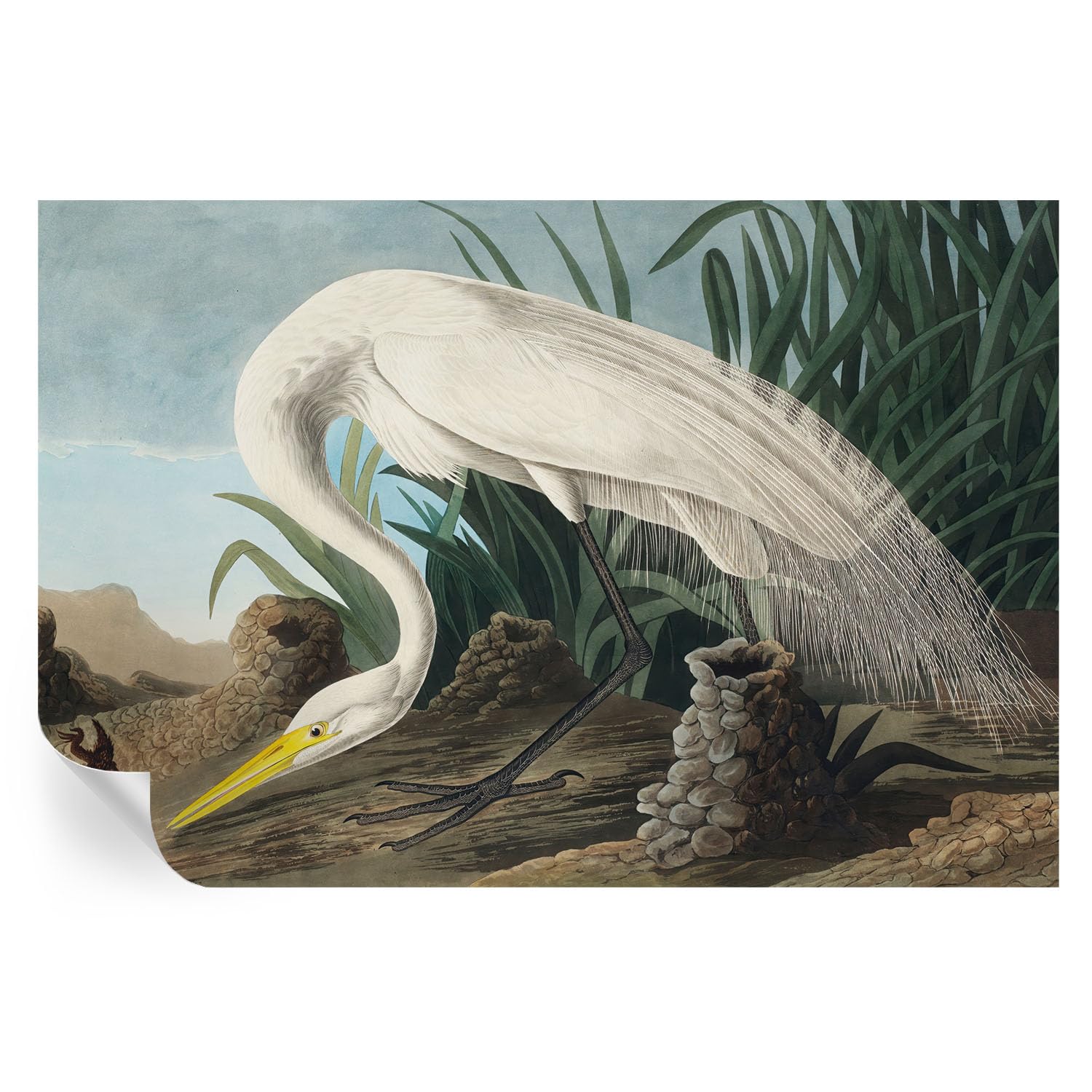 Papel pintado autoadhesivo 104x70 cm de garza y vinilos decorativos de hogar
