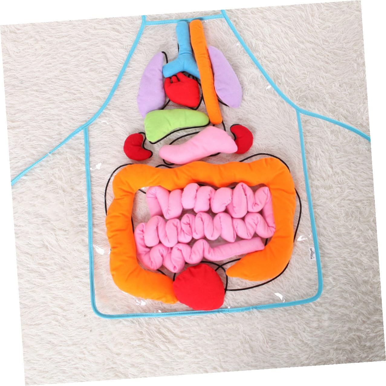 Alasum Delantal 3D Órganos del Cuerpo para Niños, Juguete Cognitivo de Anatomía Corporal, Herramienta Didáctica para Aprendizaje Temprano en Casa y Preescolar