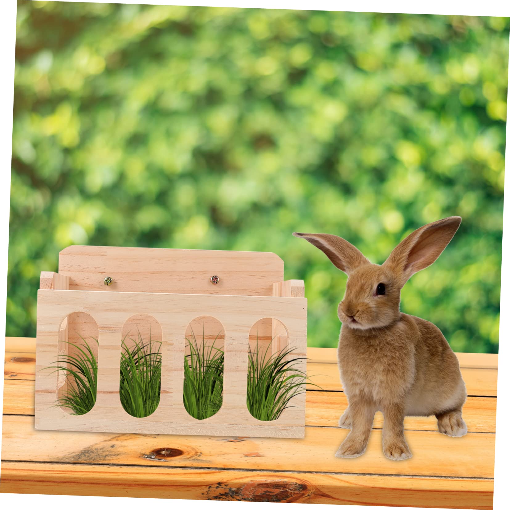 Holz Futtertrog für Meerschweinchen und Chinchillas für Käfig