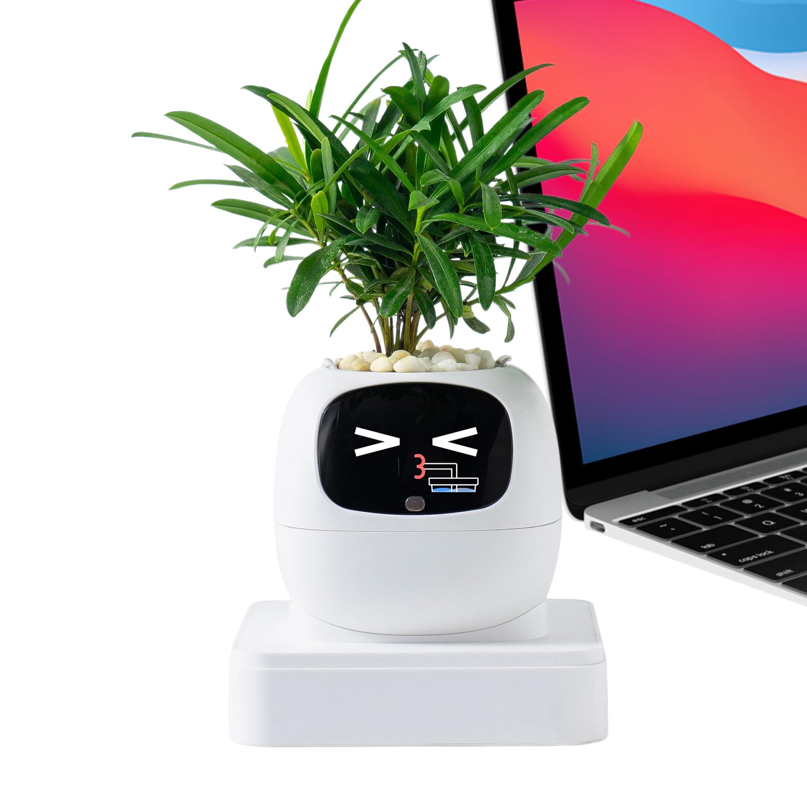 Vaso Intelligente Assistente IA per la Cura delle Piante in Vaso