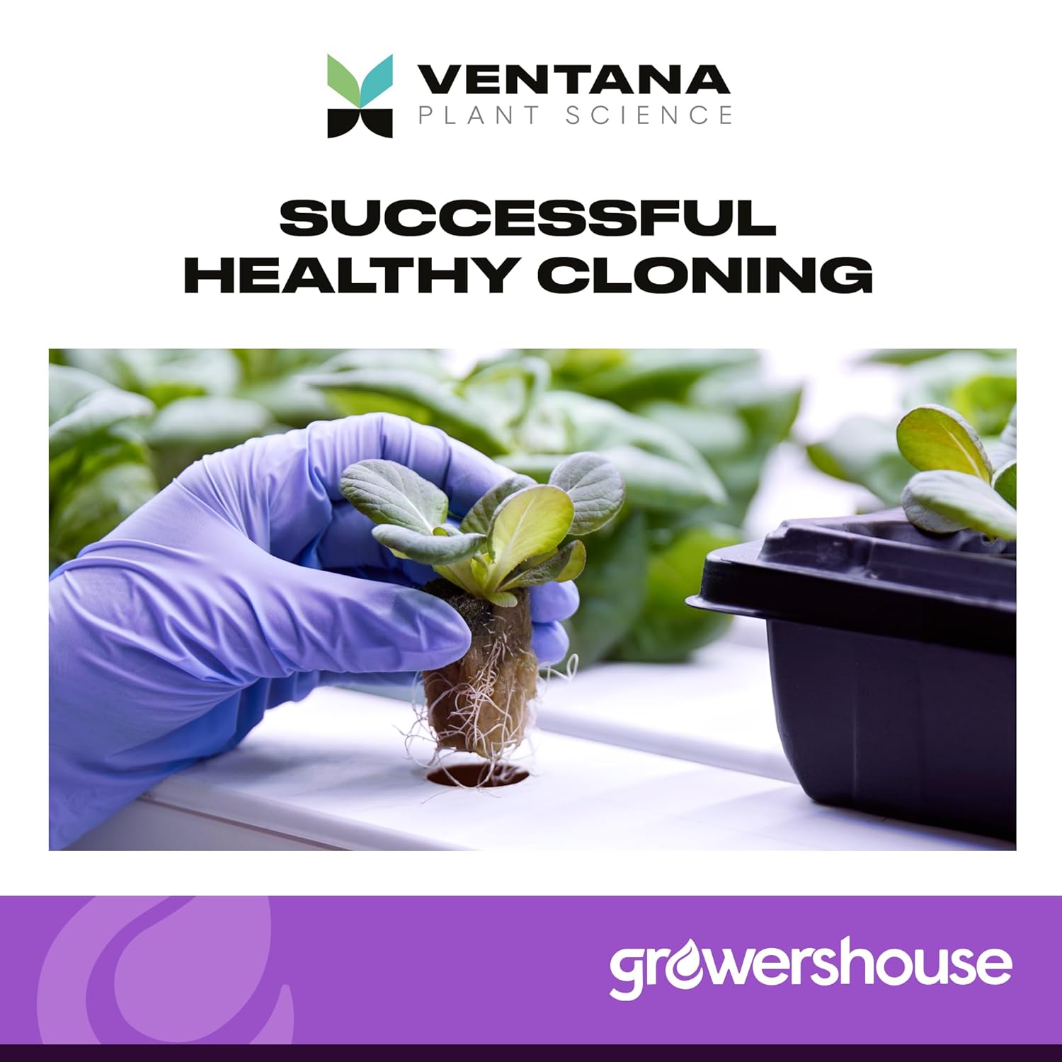 Cloning Gel - Cloning Paste with Rapid Rooter Rooting Hormone - 0.5% IBA Indole-3 Butyric Acid Vitamin B-1 Added, Essential for Healthy Plant Growth, Dye-Free