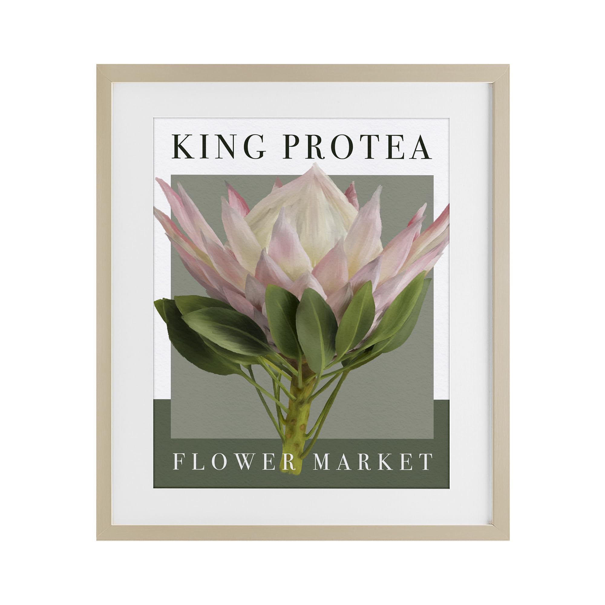 Stupell Industries King Protea Flower Market 'King Protea Flower Market'| Framed Print Under Glass