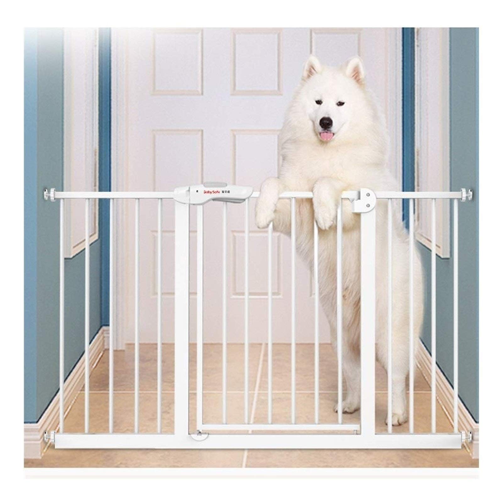 Parc pour animaux de compagnie et barrière de sécurité pour grand salon ouvert