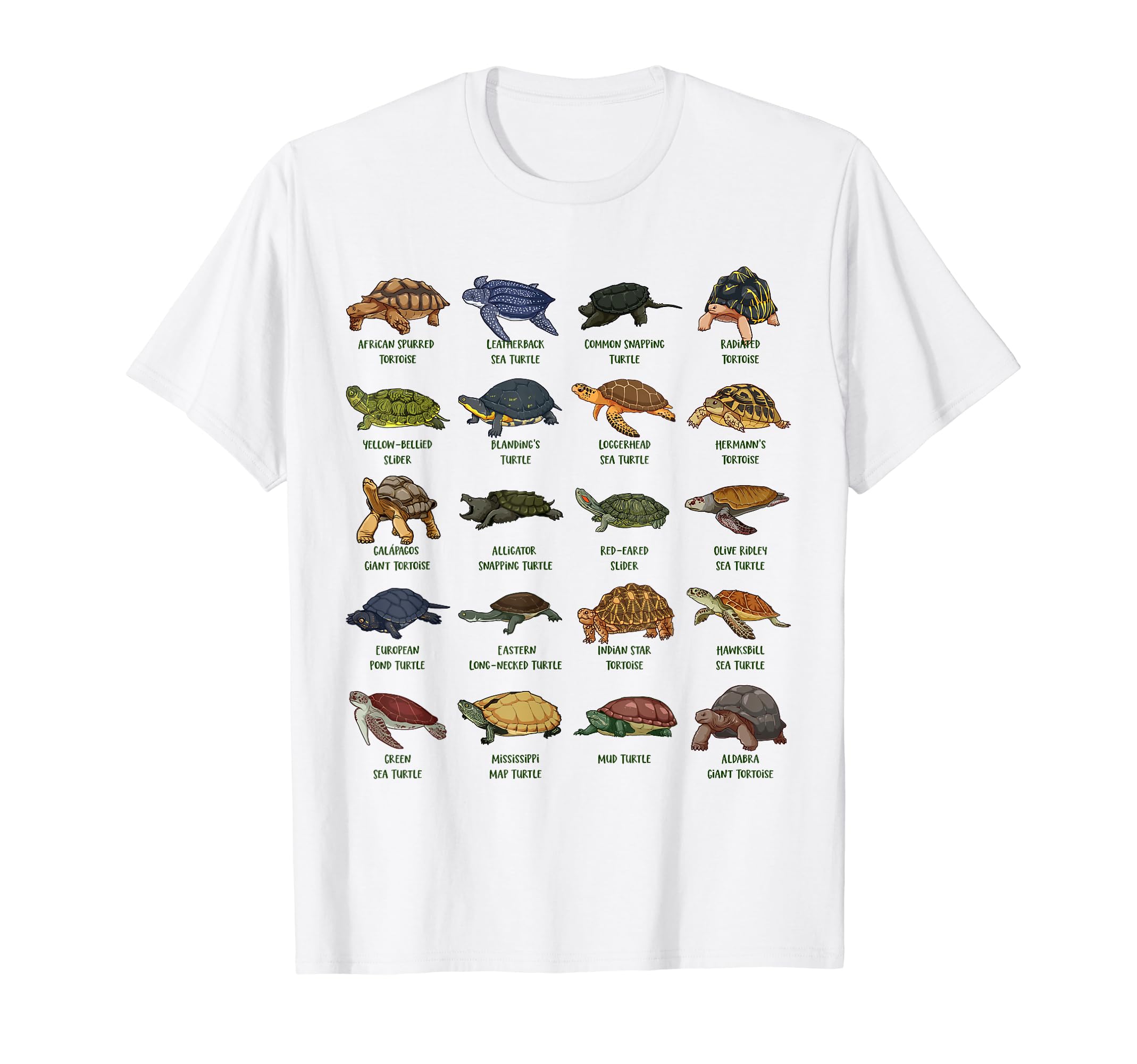 Creative turtle designsTortoises and Turtles - Types of Turtles T-Shirt