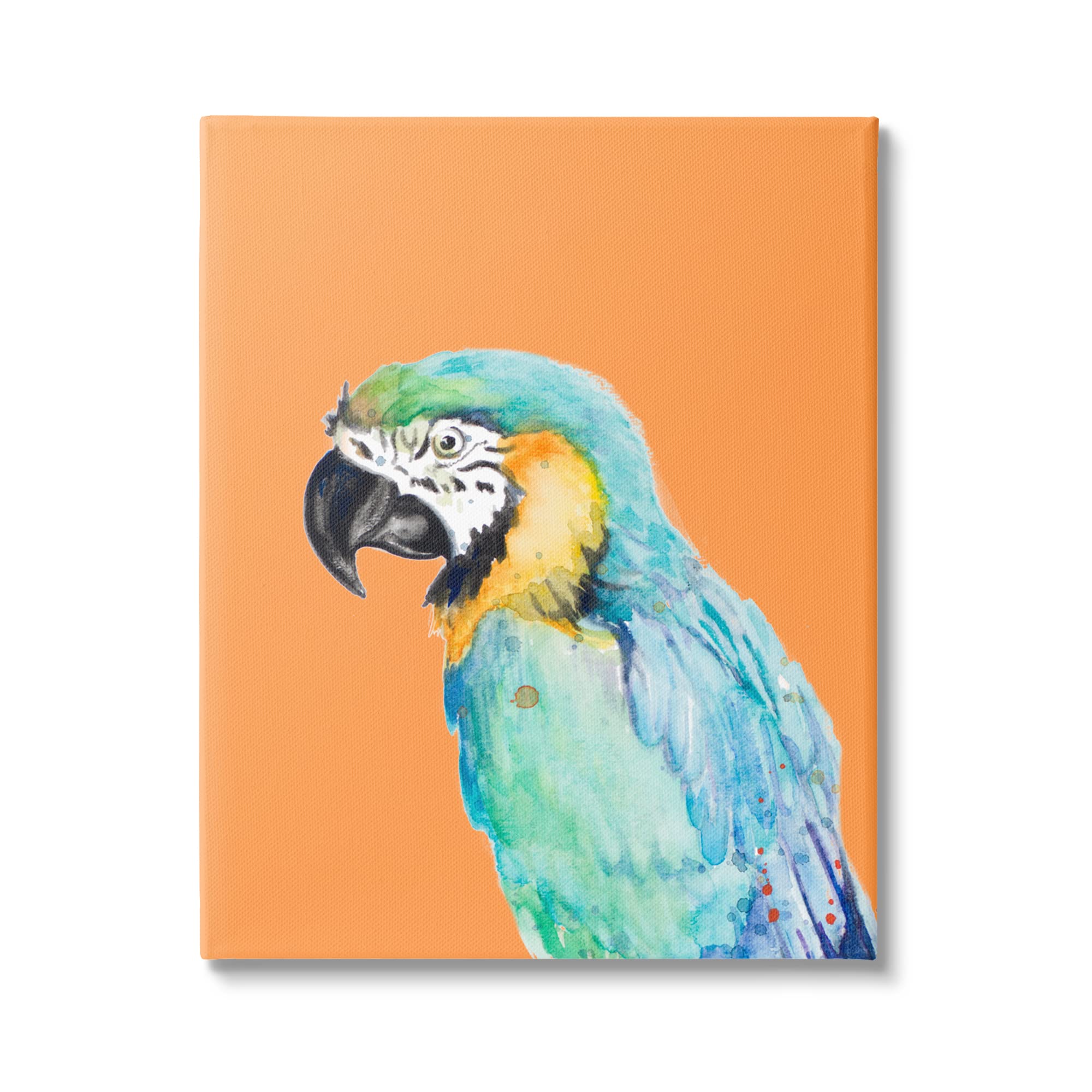 Stupell Industries Tropical Macaw Parrot Portrait Bold Rainforest Bird Canvas Wall Art, Design By Patricia Pinto
