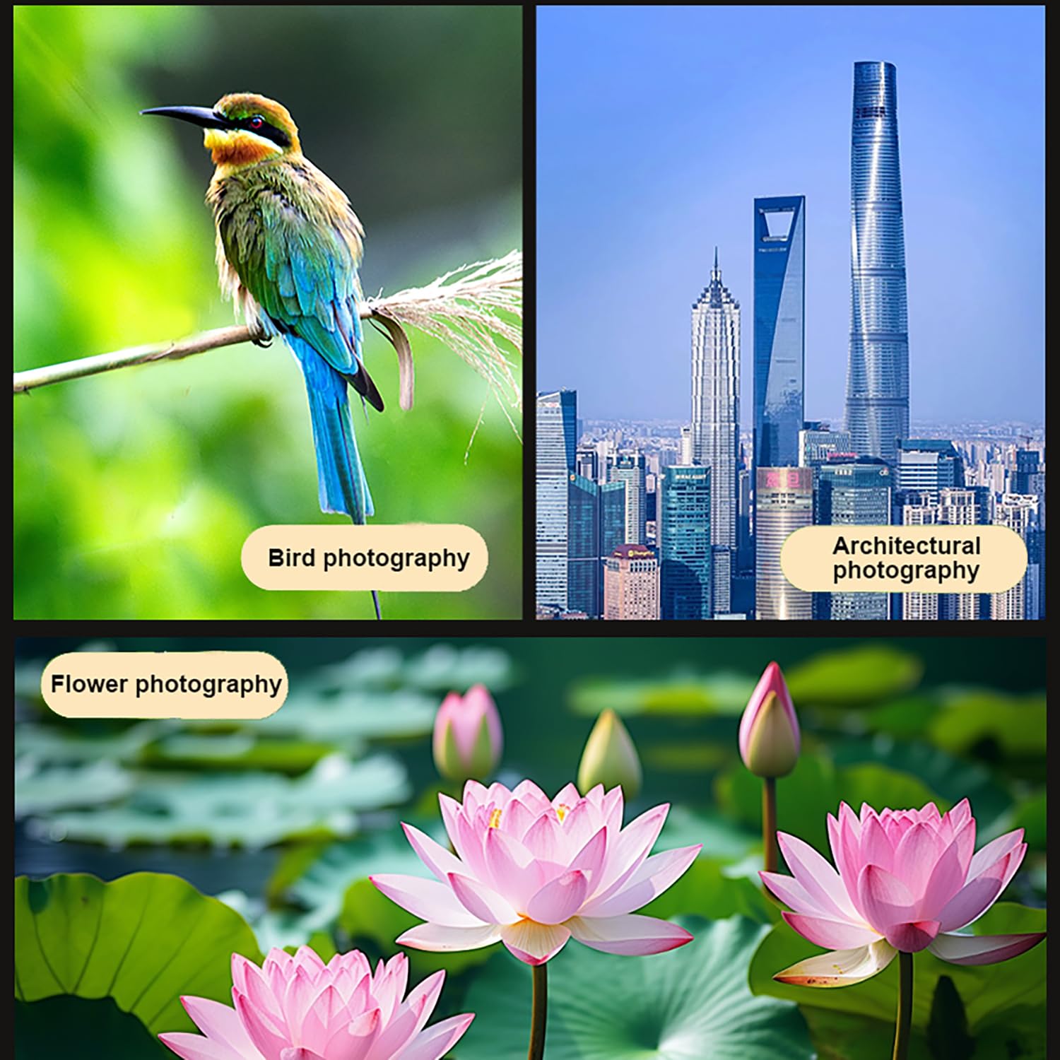 400-mm-Teleobjektiv für iPhone, Android-Handy-Kamera, HD-Handy-Teleskopobjektiv mit Universalclip, für Multi-Szenen-Fotografie wie Wildtiere, Sport, Konzerte, Blumen usw.
