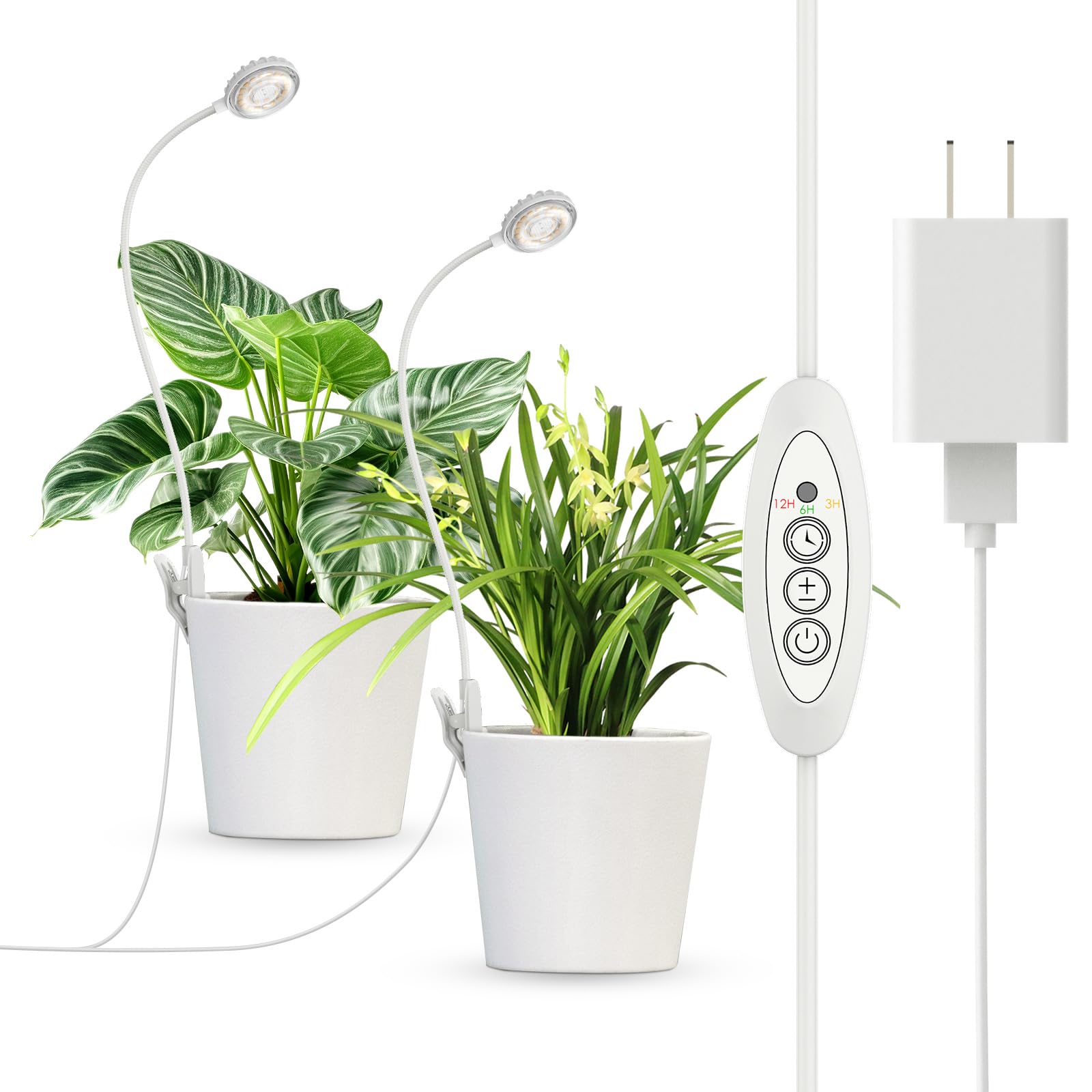 SGLEDs 2-in-1 14W