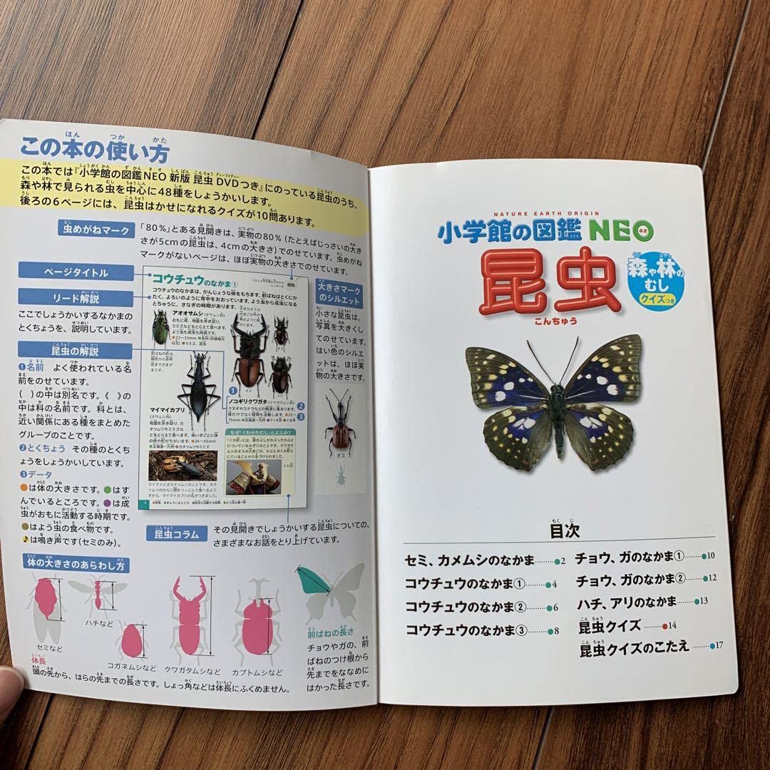 昆虫の本いろいろ　全11冊セット 616ZIWfz9ML._UF1000,1000_QL80_.jpg