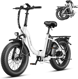 Heybike Ranger 2.0 Foldable E-Bike