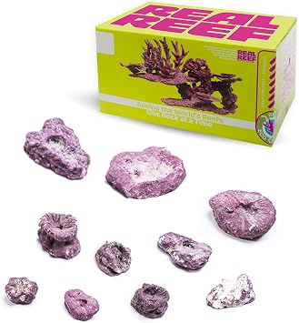 Frag Rock Mixed 10 Pieces 1-5" - Reef-Safe Artificial Live Rock for Coral Fragging, Plug Mounting & Reef Aquascaping, Natural Coralline-Colored Frag Mounts